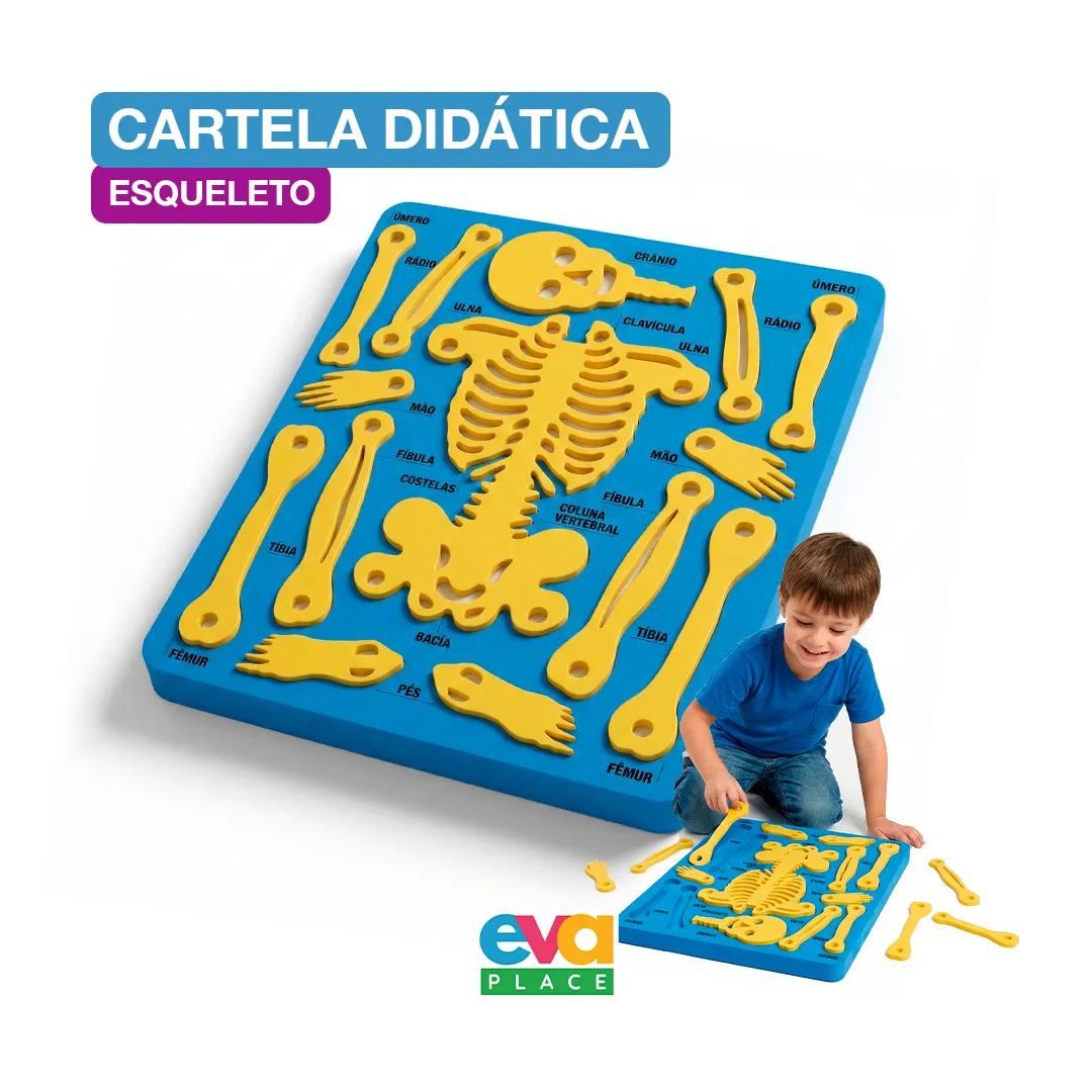 Cartela EVA  - Esqueleto